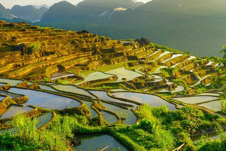 Rice Terraces