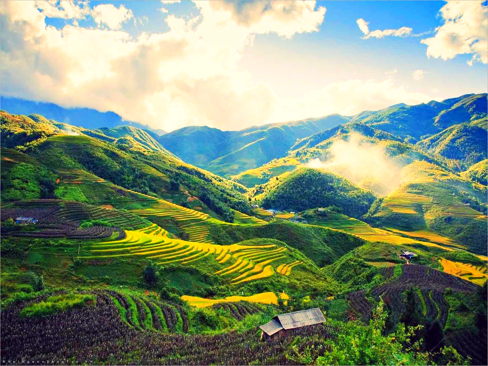 Sapa  Rice Terraces