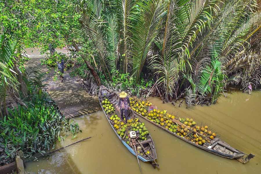 Mekong Delta-Land of CoCo Nut