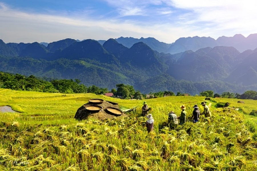 Pu Luong Nature Reserved