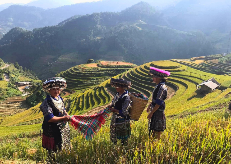 Mu Cang Chai
