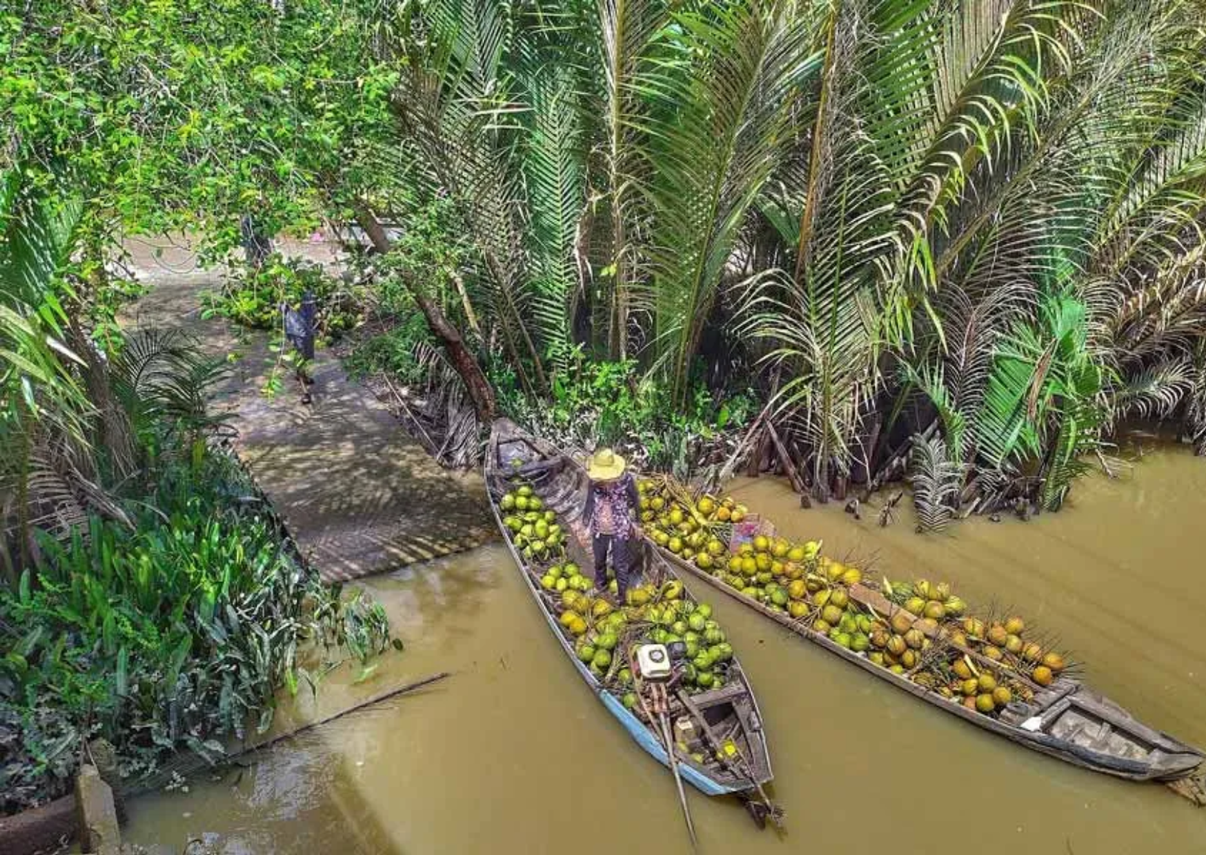 Mekong Delta
