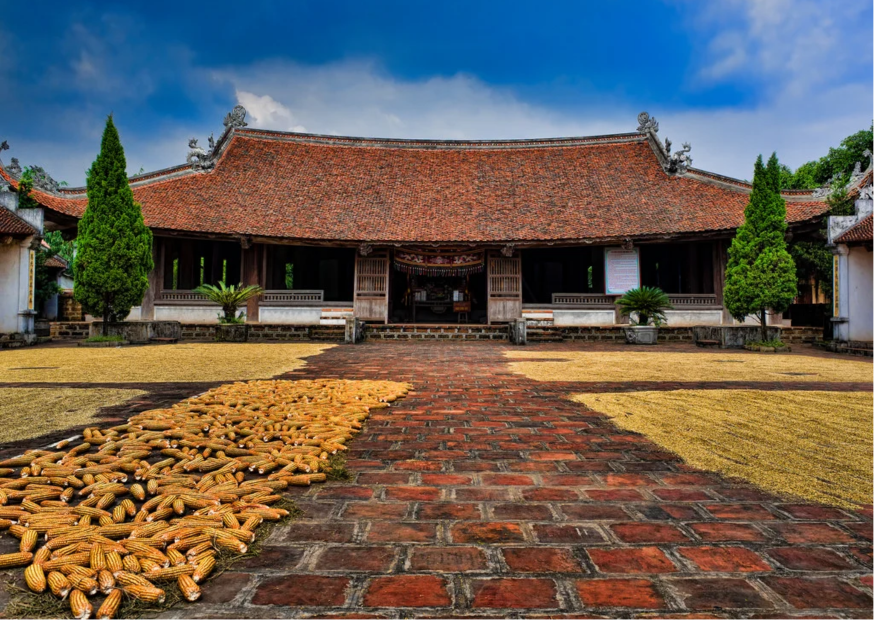 Duong Lam